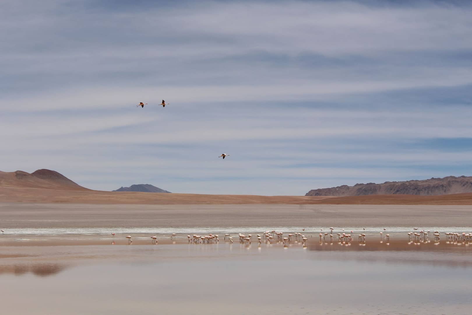 img 4455 - Jeeptour durch die Siloli-Wüste, Bolivien