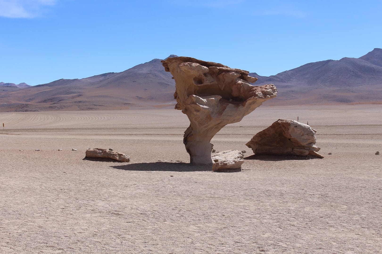 img 4485 - Jeeptour durch die Siloli-Wüste, Bolivien