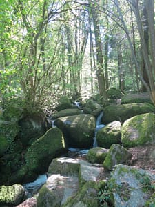 img 3262 scaled - img_3262
