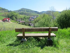 img 3315 scaled - img_3315