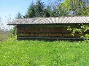 img 3318 scaled - img_3318