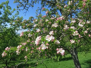 img 3320 scaled - img_3320