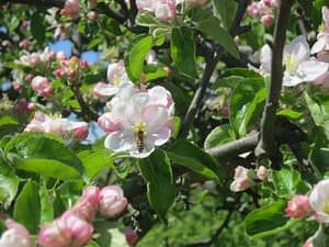 img 3321 scaled - img_3321