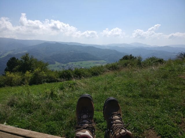 Sonnige Schwarzwald-Wanderung Ebringen-Schönberg-Schneeburg