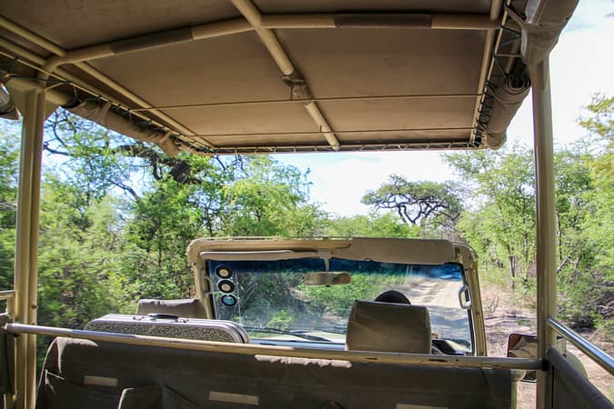 20171231 IMG 6022 700x450 - Roadtrip durch Namibia und Südafrika mit Jeep und Dachzelt. Teil 1